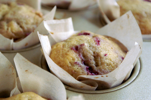 raspberry lemon buttermilk muffins.