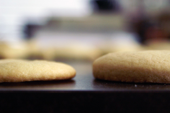 hamantaschen dough test: side view.