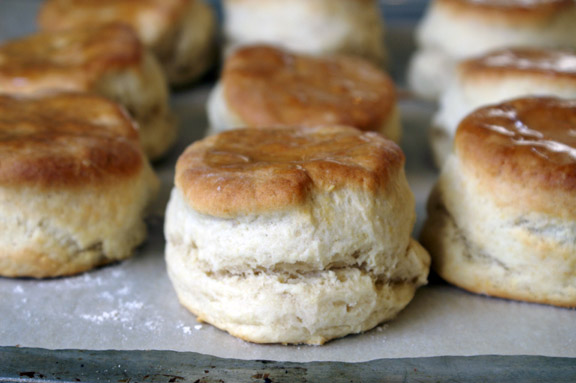 ac perfect biscuits.